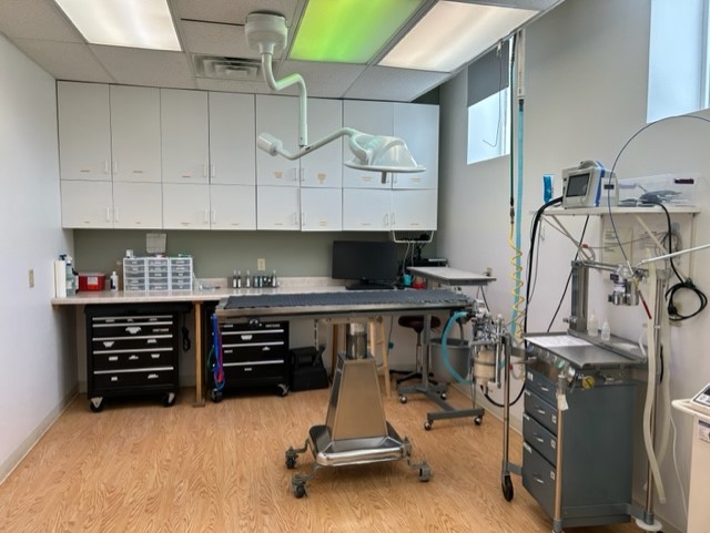 Surgery Room