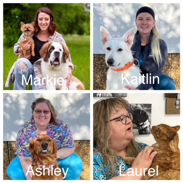 Veterinary Technicians Markie, Kaitlin, Laurel, Courtney, Daneen, Cheryl, Taylor