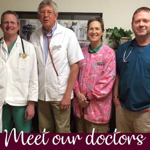 Our Doctors